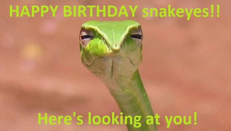 Snake - Skeptical Snake (2).jpg