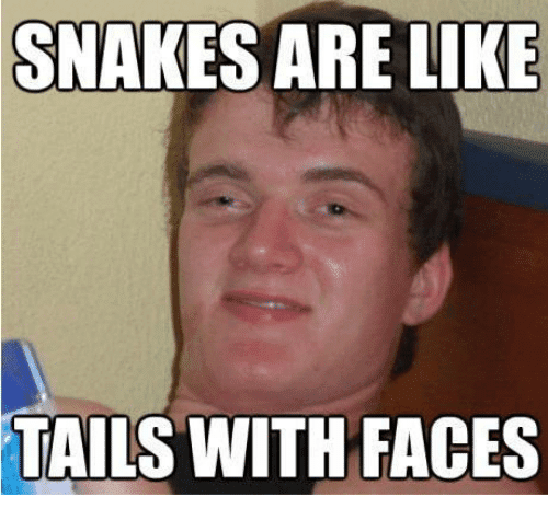 snakes-are-like-tails-with-faces-7006577.png