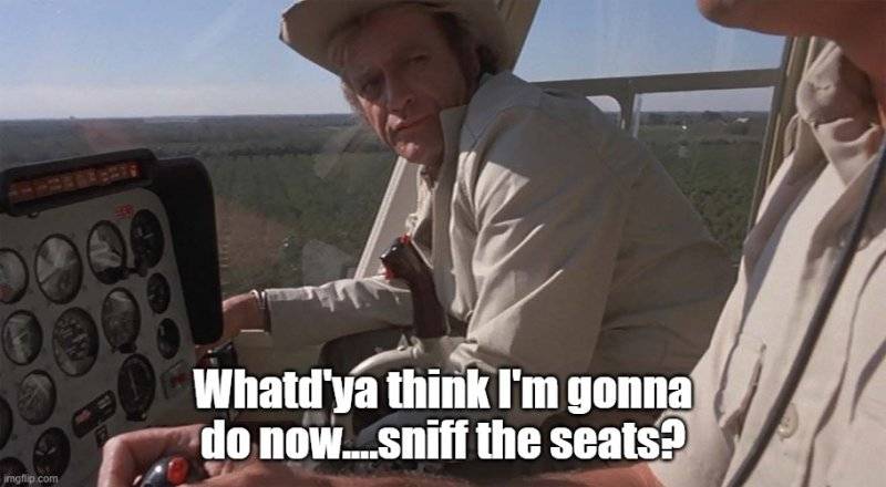 Sniff the seats.jpg
