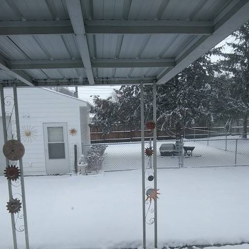 snow.jpg