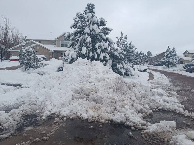 snow3.jpg