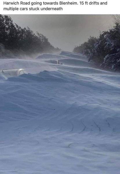 snowedincars.jpg