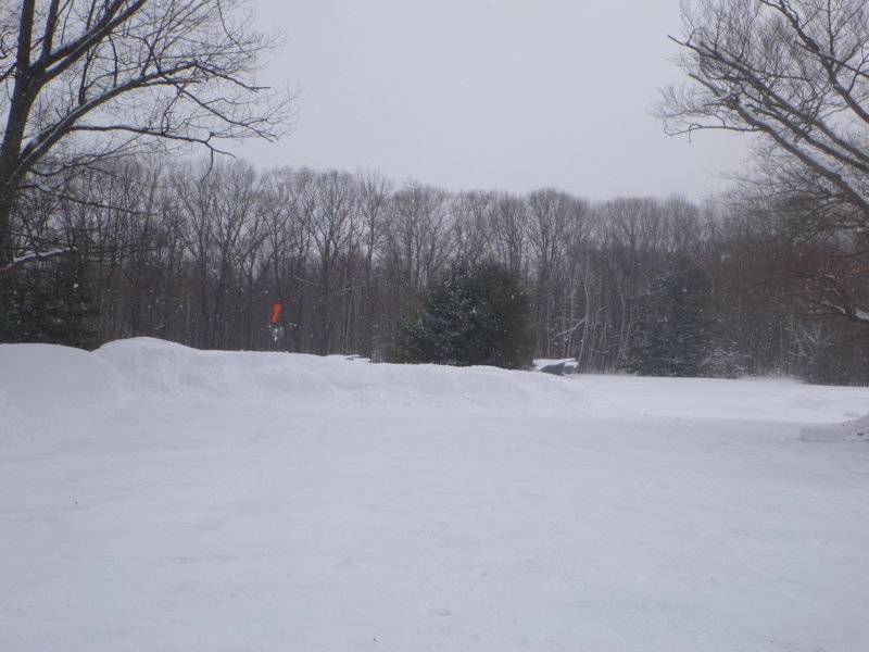 snowfeb282020 008.JPG