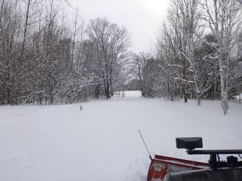 snowplowdec262020 008.JPG