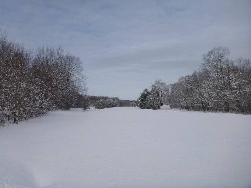 snowplowdec262020 010.JPG