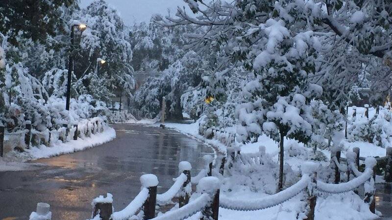 snows.jpg