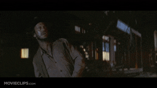 SociableAnxiousBlackbird-max-1mb.gif