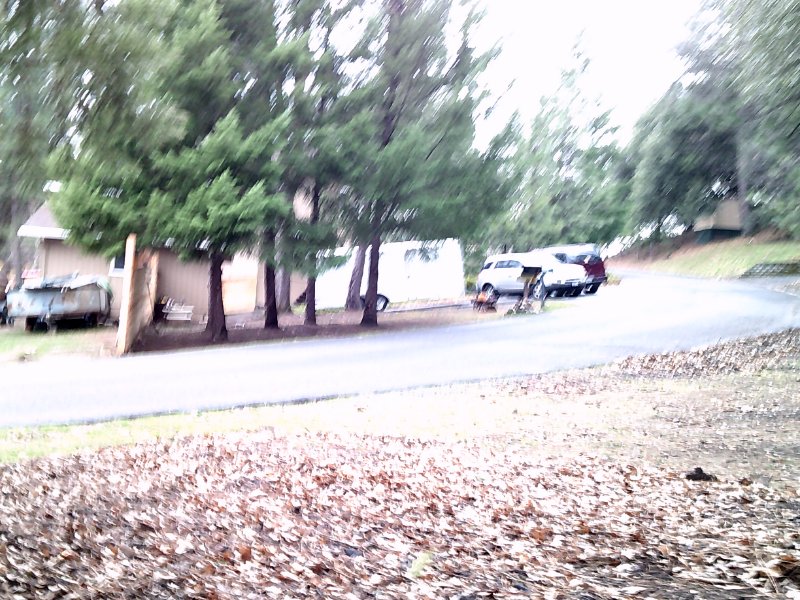 Sonora Sanford & Sons crap 5).JPG