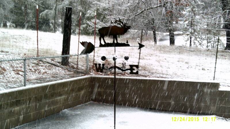 Sonora snow 12-24-2015 #1.JPG