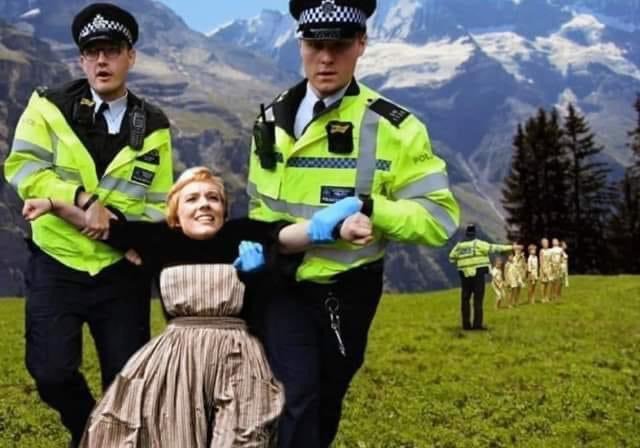 Sound of Music police.jpg