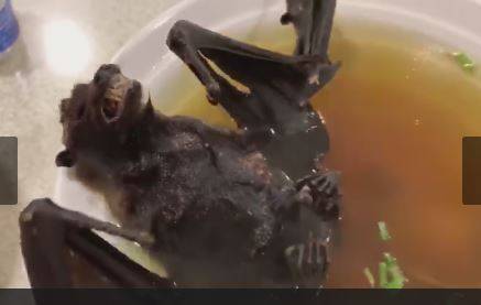 Soup.JPG