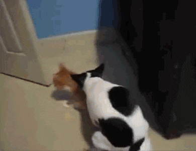 source.gif