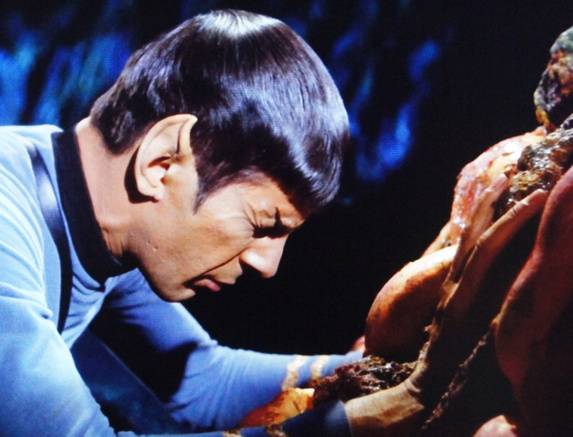 spockandhorta_0.jpg