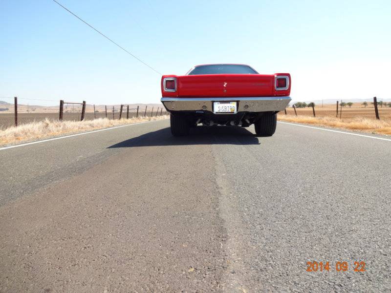Sr Road Runner 9 2017.jpg