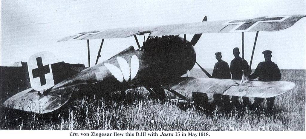 SS-D3-Ziegesar.jpg