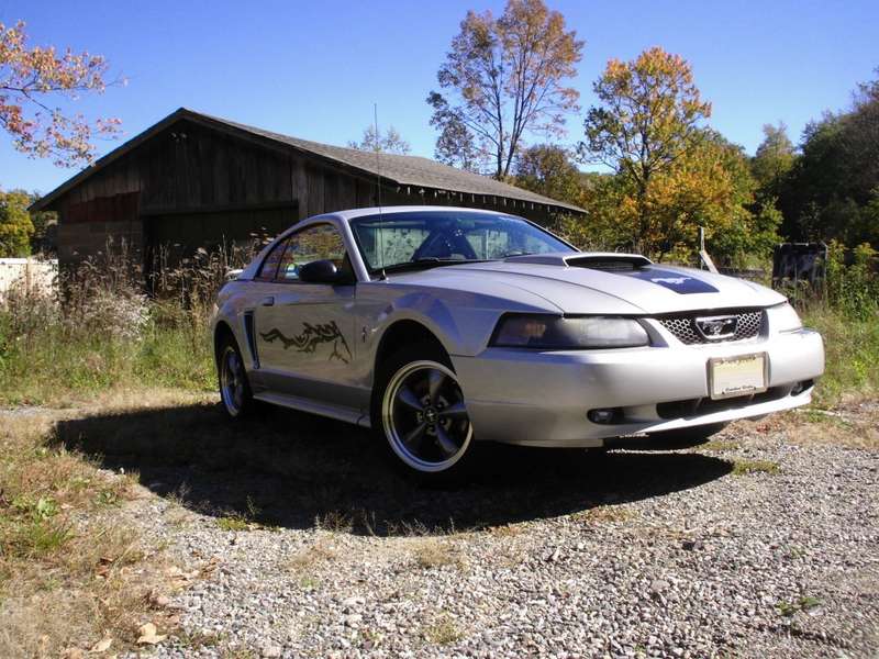 Stang00001.jpg