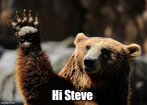 Steve Bear.jpg