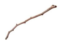 stick_noun_002_35886.jpg?version=5.0.jpg