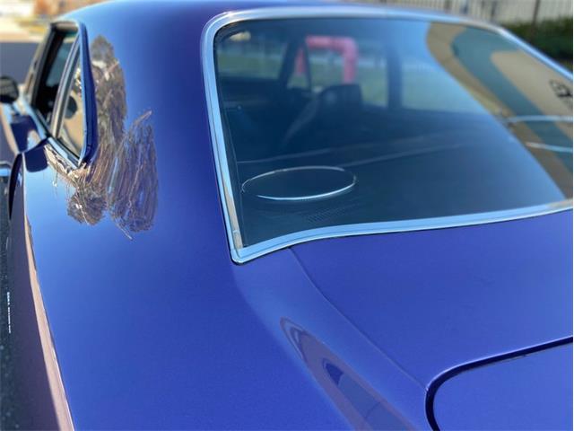 stock road runner rear glass.jpg