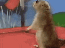 stokbrood.gif