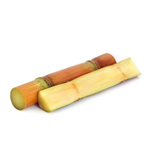 Sugar-Cane-1-1024x1024.jpg