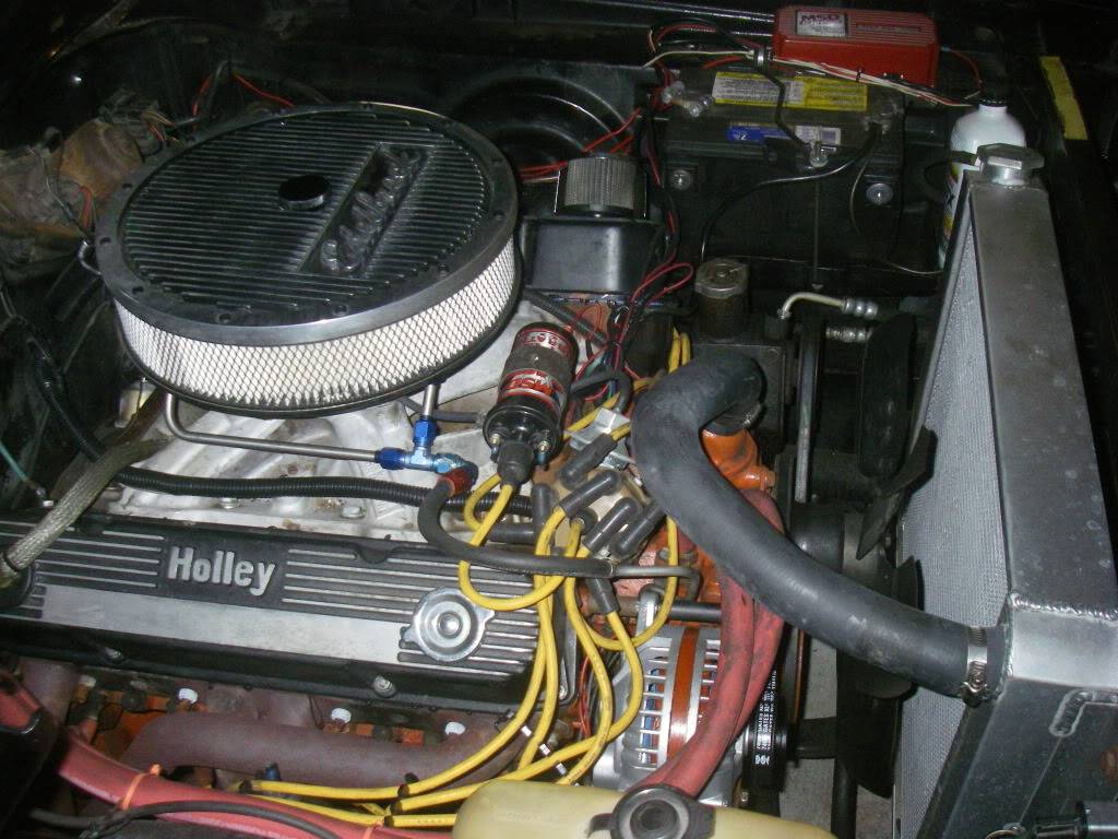 SuperBee002.jpg