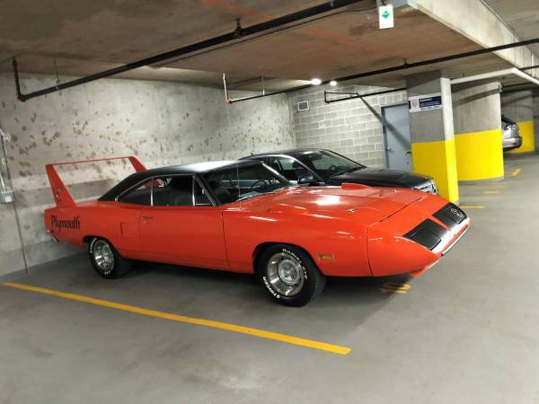 superbird in.jpg