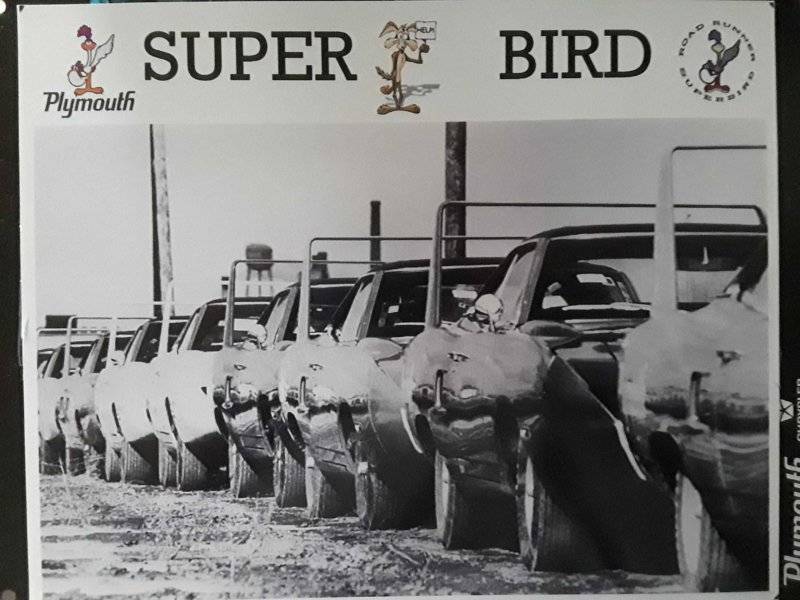 SuperBird Parade.jpg