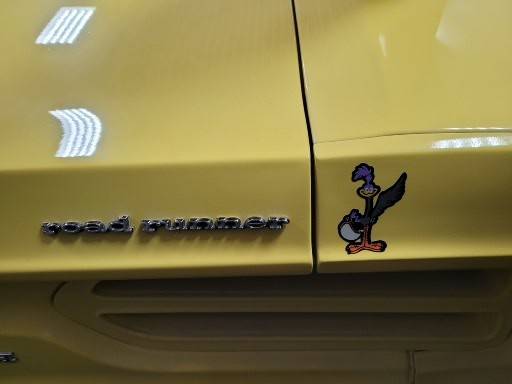 superbirdbentdoorpta 027.jpg