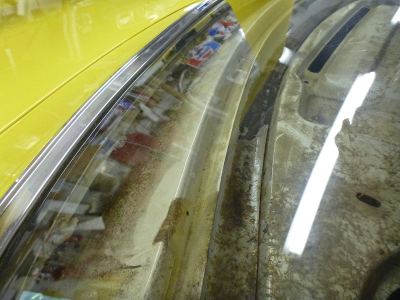 superbirdcleanup20182019 1368.JPG