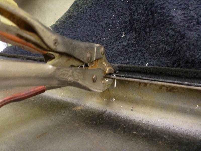 superbirdcleanup2019part2 021.JPG