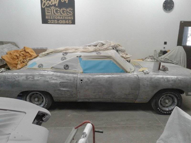 superbirdfullpaint4 087.jpeg