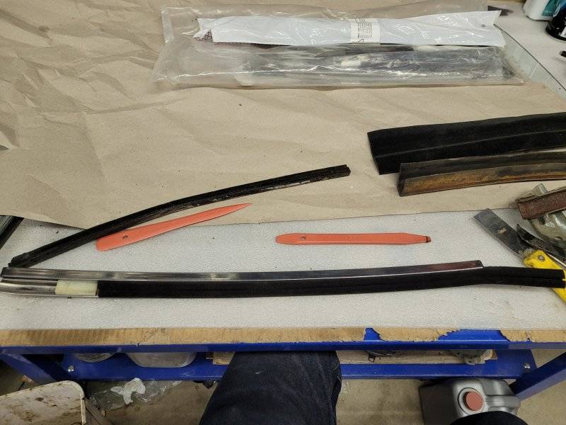 superbirdfullpaint5 064.jpg