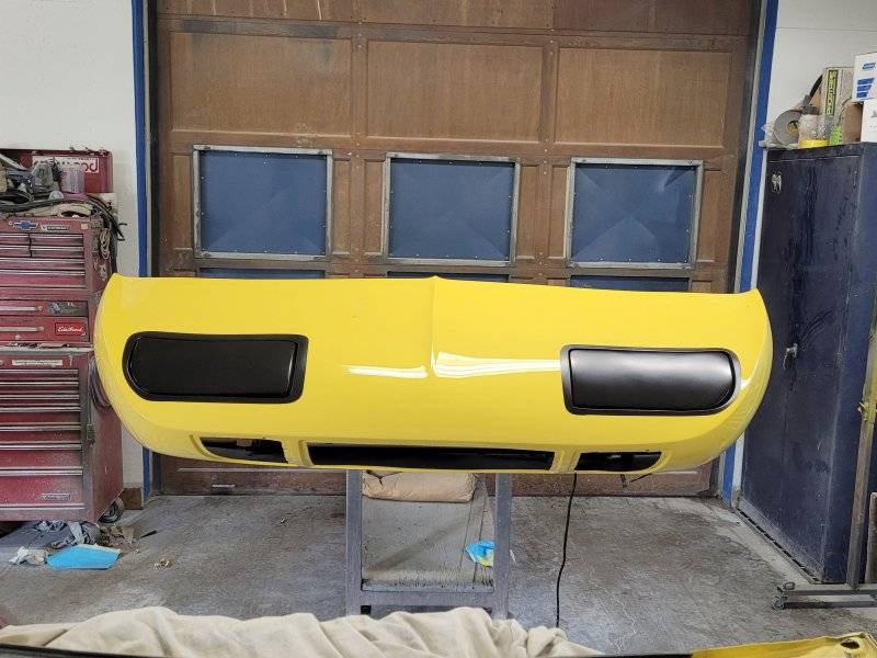 superbirdfullpaintc 028.jpg
