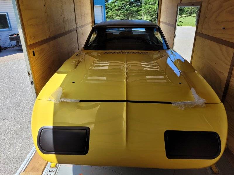 superbirdfullpaintc 055.jpg