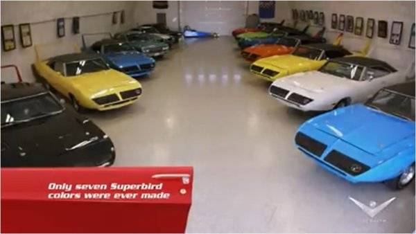 superbirds.jpg