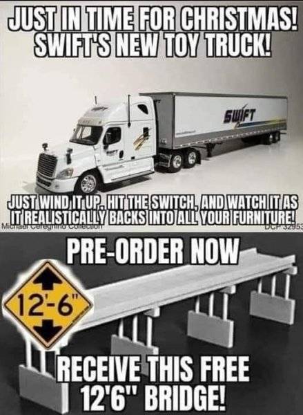 swift.jpg