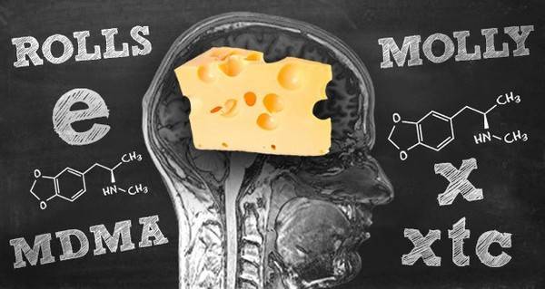 swiss-cheese-brain-620x330.jpg