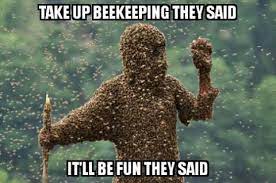 take-up-beekeeping.jpg