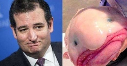 ted-cruz-looks-like-all-of-these-things.jpg