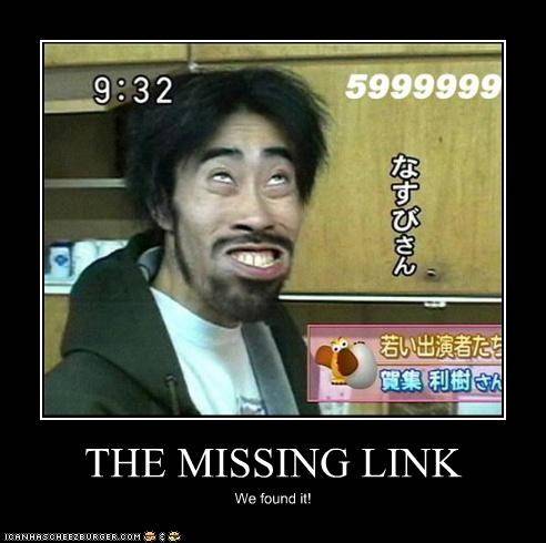 the-missing-link.jpg