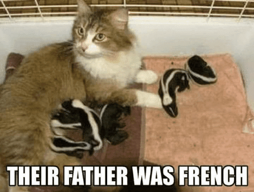 their-father-was-french-46947441.png