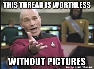 this-thread-is-worthless-without-pictures.jpg