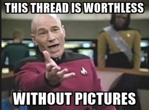 this-thread-is-worthless-without-pictures.jpg