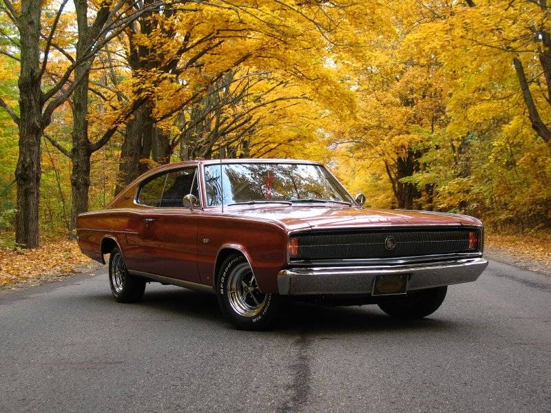 those few fall days 021.jpg