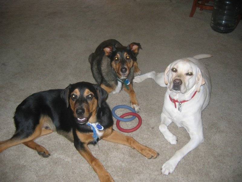 Three Stooges.JPG