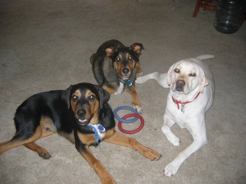 Three Stooges.JPG
