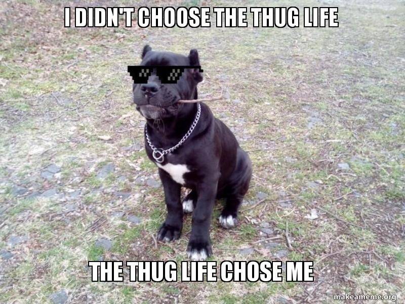 thuglife.jpg