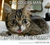 thumb_the-colors-man-can-hear-the-colors-more-awesome-pictures-14671103.png