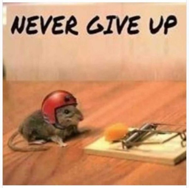 thumbnail (18).jpg